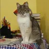 Отзыв от Ирина Спиридонова